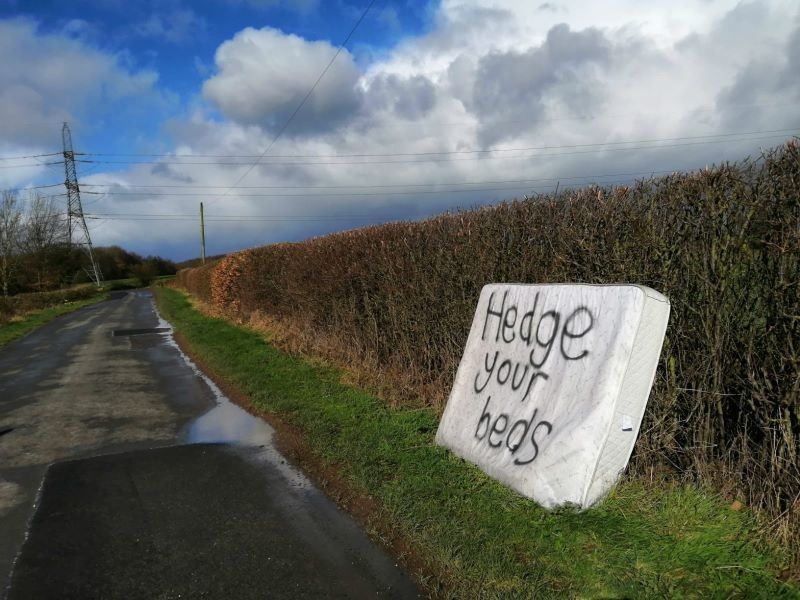 Other image for Dumping goes from bed to worse...